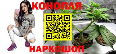 индика Обнинск