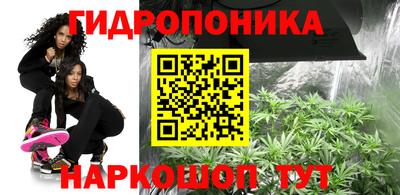 индика Обнинск