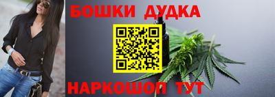 индика Обнинск